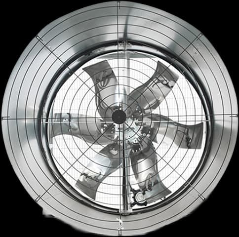 An image of a product