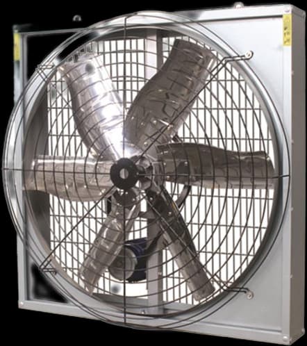 An image of a product