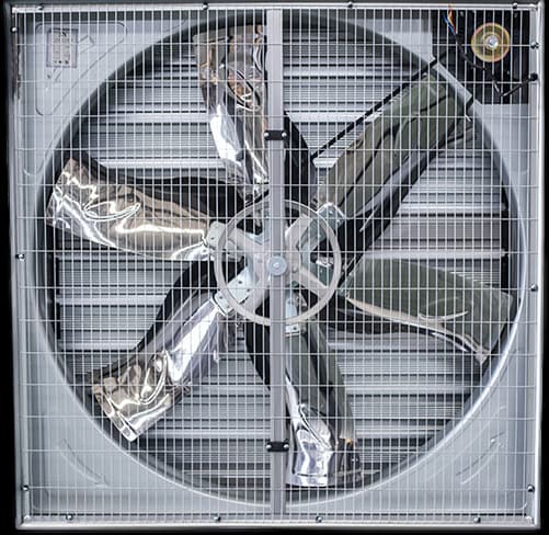 An image of a product