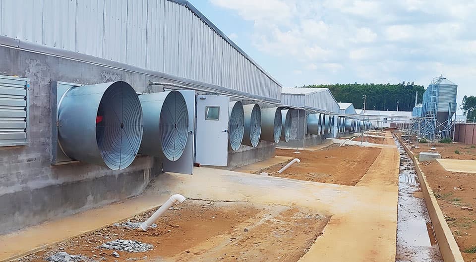 Image of cone fan in use